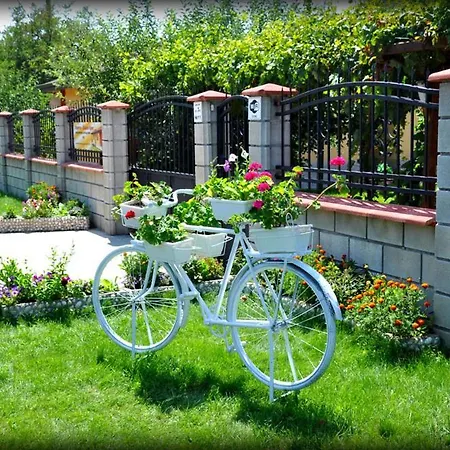 лорета-камен бряг *