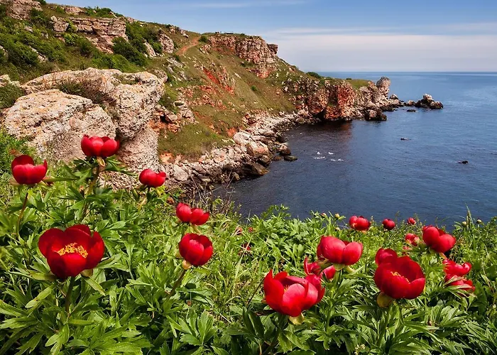 лорета-камен бряг Дом отдыха *