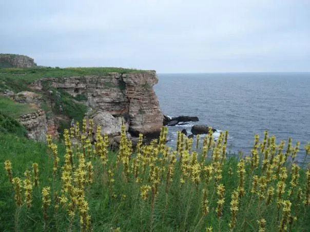 лорета-камен бряг