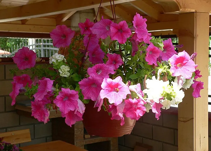 лорета-камен бряг Дом отдыха *