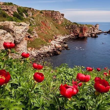 лорета-камен бряг بيت للعطل *