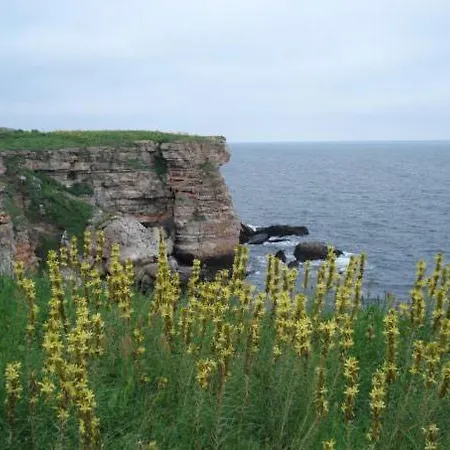 лорета-камен бряг