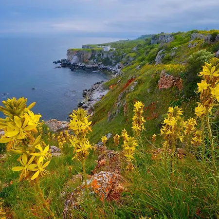 лорета-камен бряг * كامين برياغ