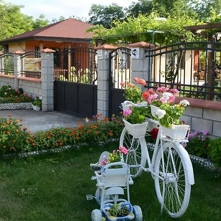 лорета-камен бряг * كامين برياغ