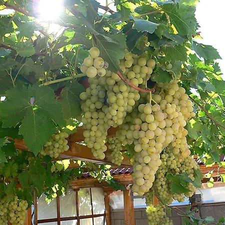 Сasa de vacaciones лорета-камен бряг Kamen Bryag