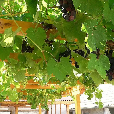 лорета-камен бряг Nyaraló Kamen Brjag