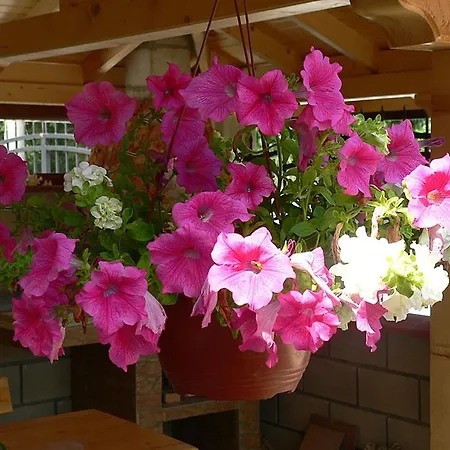 лорета-камен бряг Nyaraló *