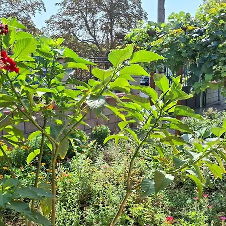 лорета-камен бряг