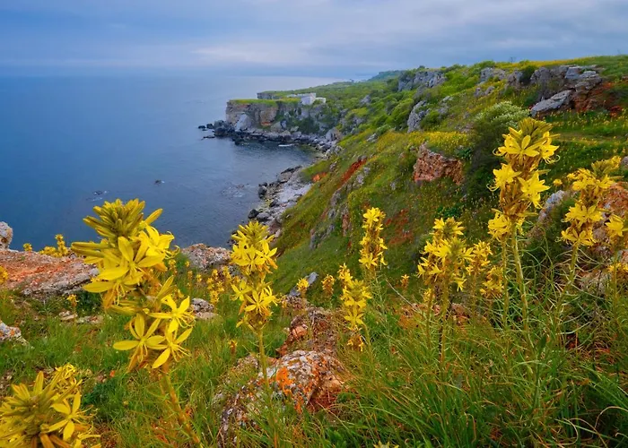 лорета-камен бряг * Kamen Bryag