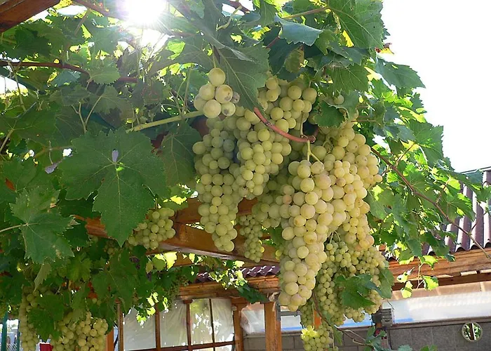 Vakantiehuis лорета-камен бряг Kamen Bryag