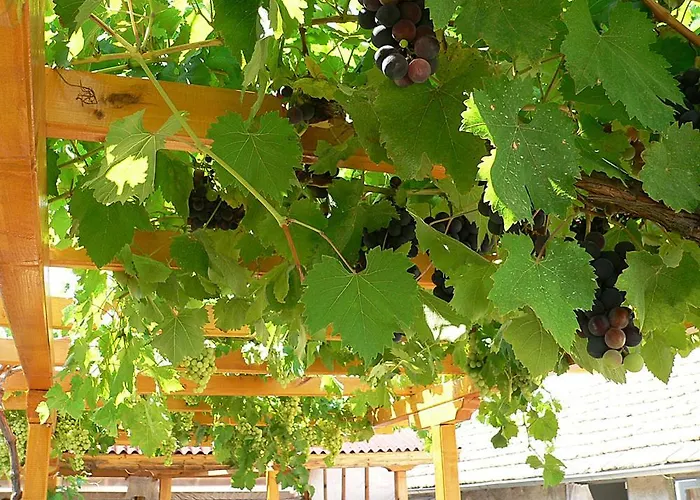 лорета-камен бряг Vakantiehuis Kamen Bryag