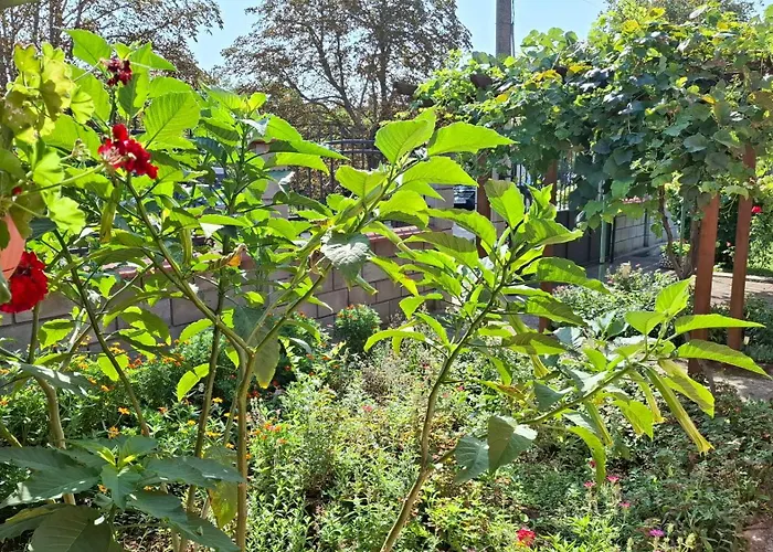 лорета-камен бряг